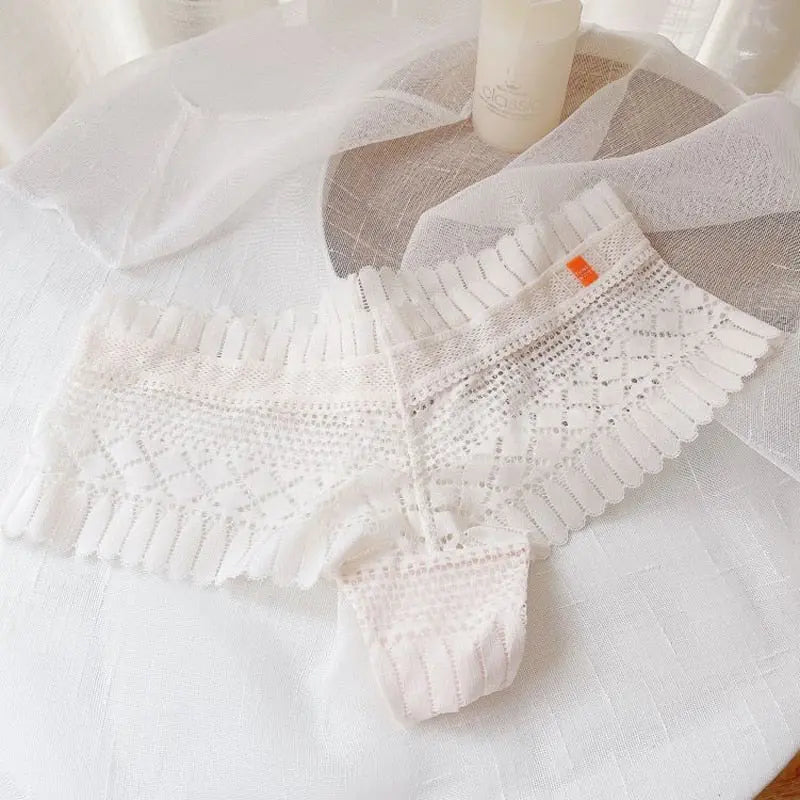 Can't Hide Or Pretend Briefs LacyNighty Panties