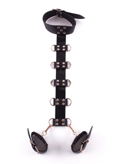 LacyNighty™ Signature Faux Leather Neck to Wrist Restraint Lavah Intimates