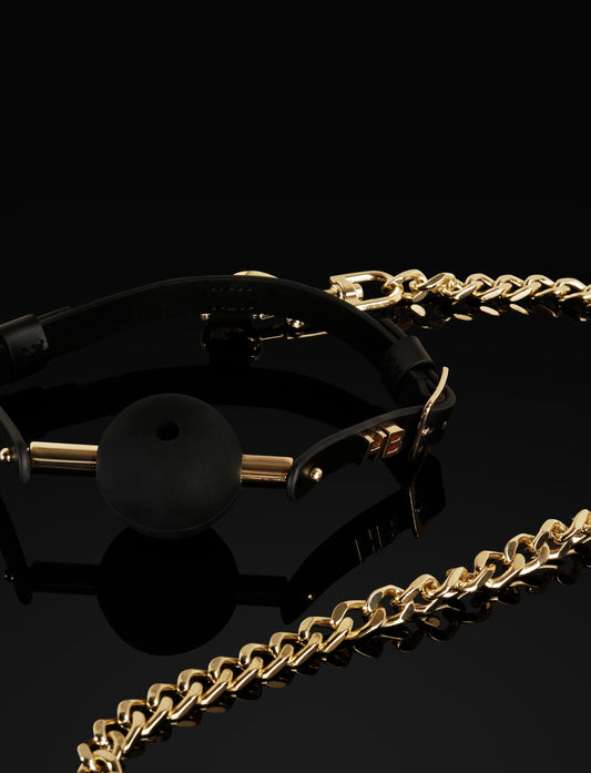 LactNighty™ Leather Bridle & Ball Gag