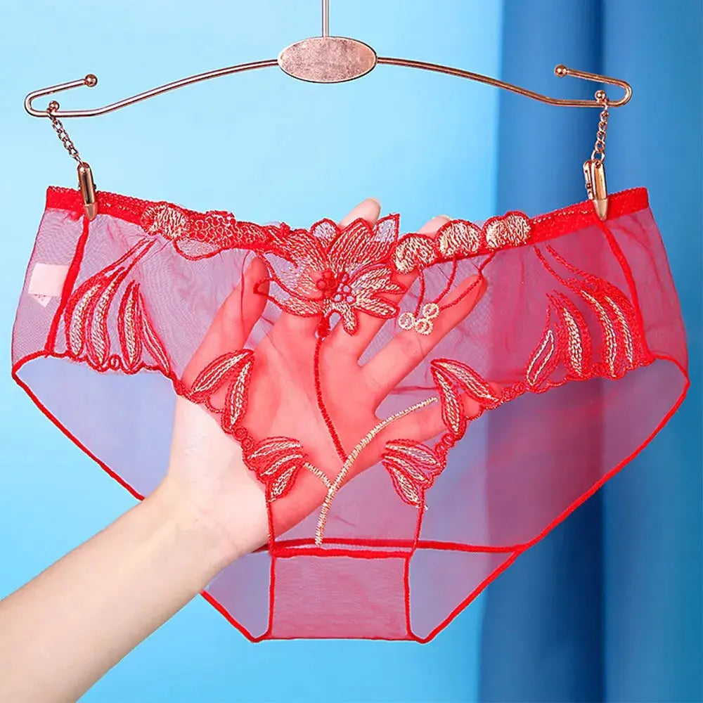 Far From The World We Know Brief LacyNighty Panties