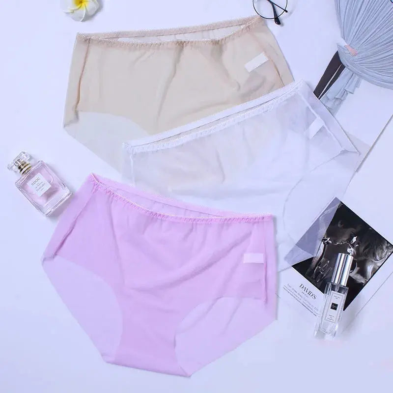 Write My Story Briefs LacyNighty Panties