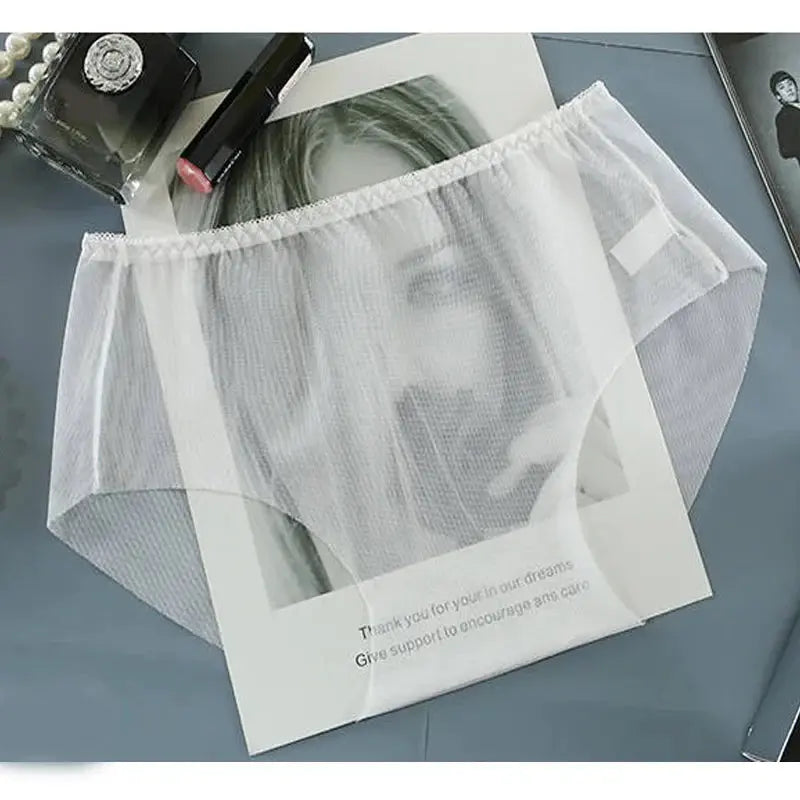 Write My Story Briefs LacyNighty Panties