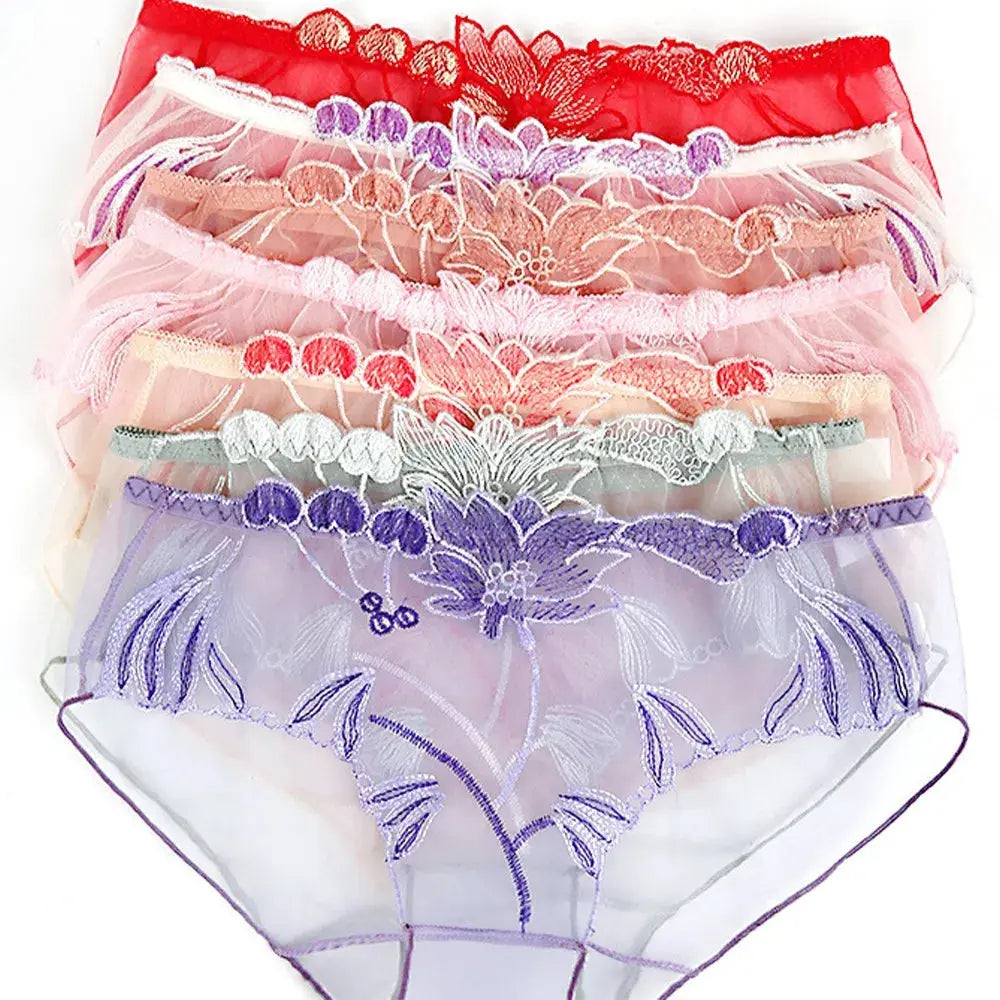 Far From The World We Know Brief LacyNighty Panties