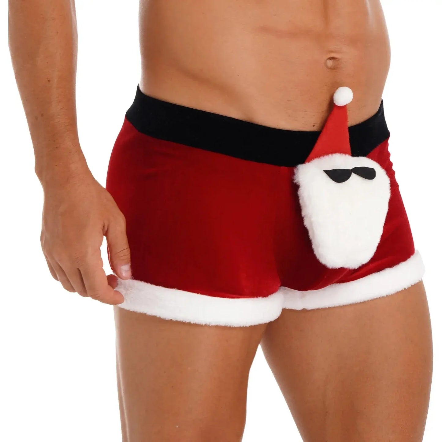 Santa Boxers Lacy0301 Other