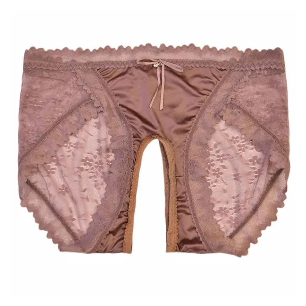 See My Perspective Crotchless Briefs LacyNighty Panties