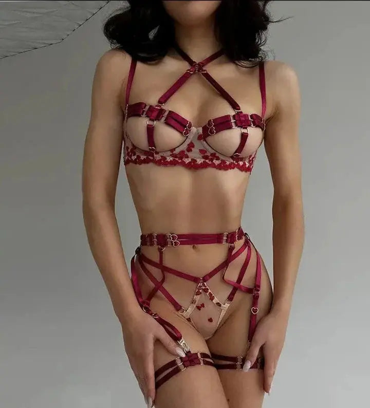 Coming Back To Us Lingerie LacyNighty Lingerie & Intimates