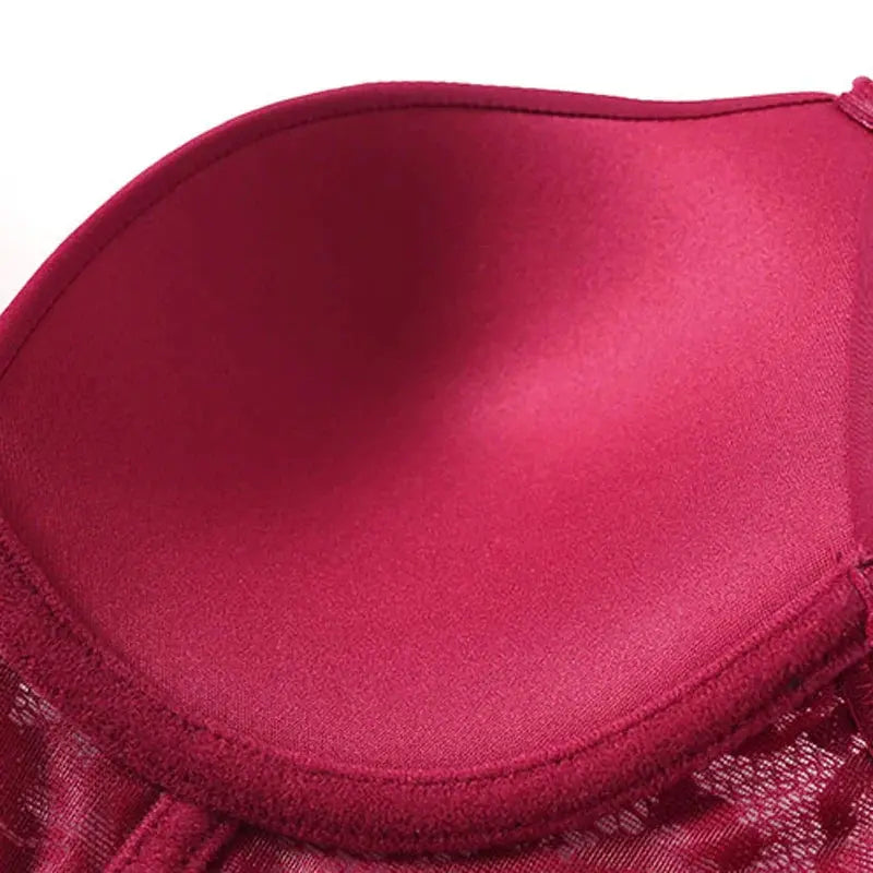 A Trail To Follow Again Bra LacyNighty Bras