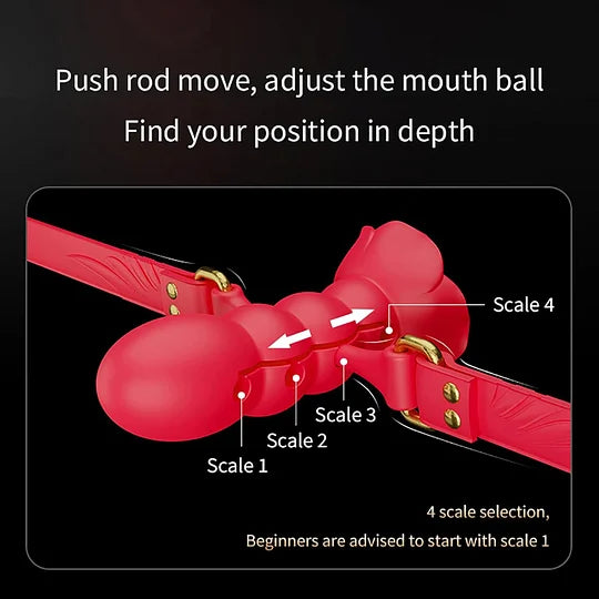 💥2026, Roselle - BDSM Multi-section Rose Ball Gag, Adjustable Silicone Mouth Gag For Couple Bondage Training