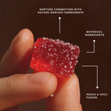 LacyNighty Spicy Cubes